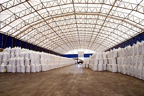On the obligations of Riga under "the UN grain deal"